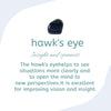 hawk_s_eye stone